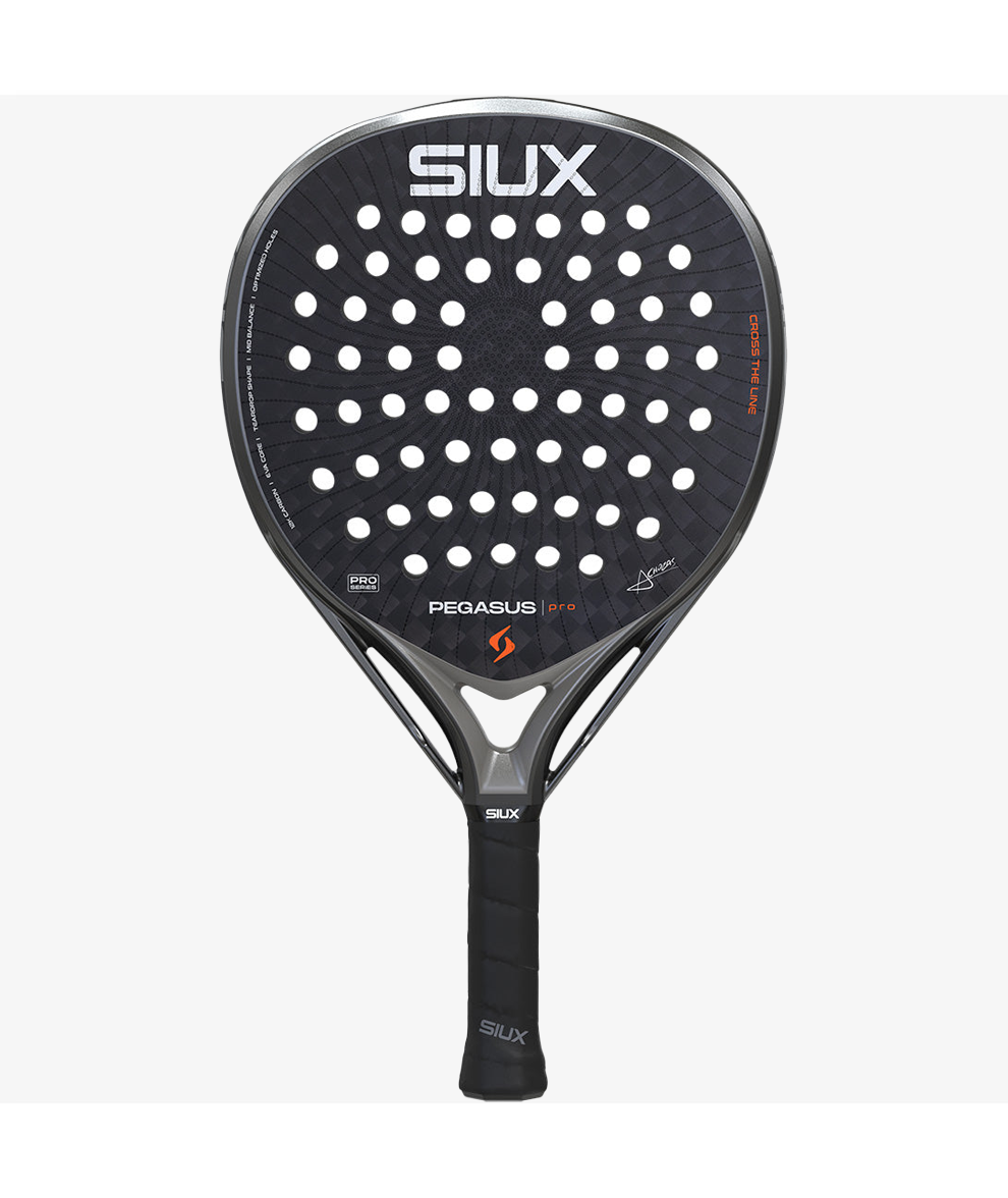 Siux Pegasus Pro 2026 Storm Gray