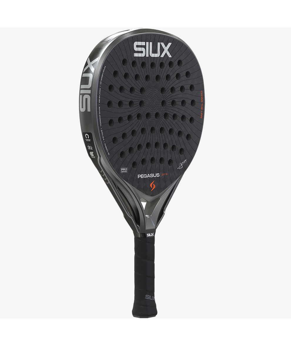 Siux Pegasus Pro 2026 Storm Gray 3