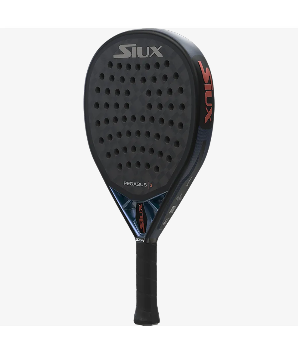 Siux Pegasus 3 2025