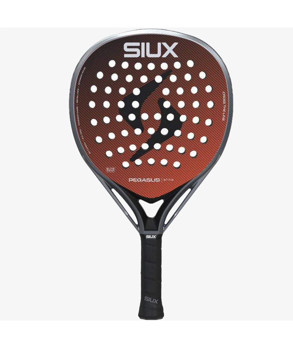 Siux Pegasus Elite 4 2026
