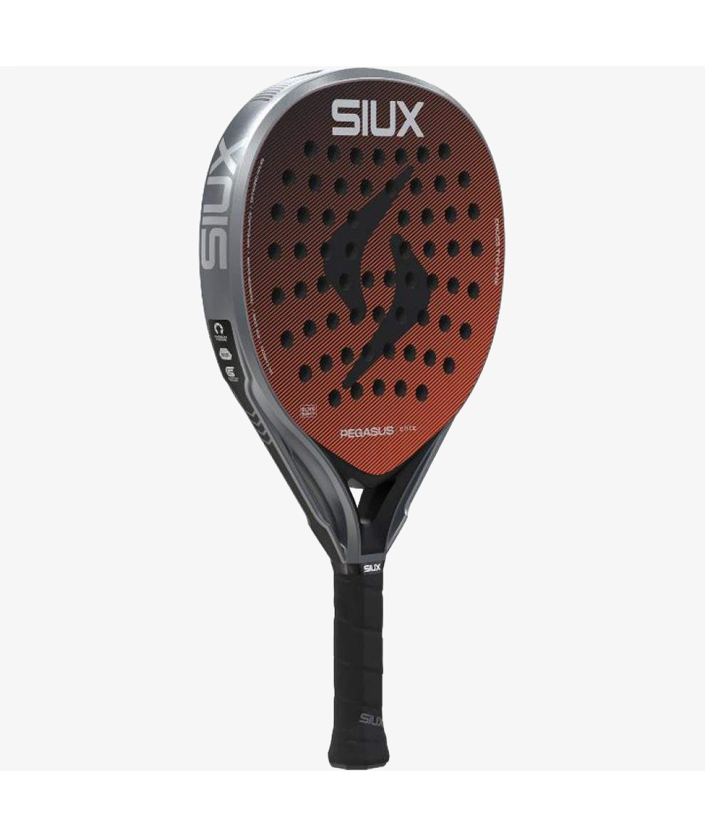 Siux Pegasus Elite 4 2026